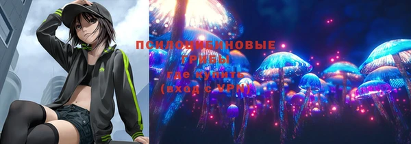 2c-b Верхнеуральск