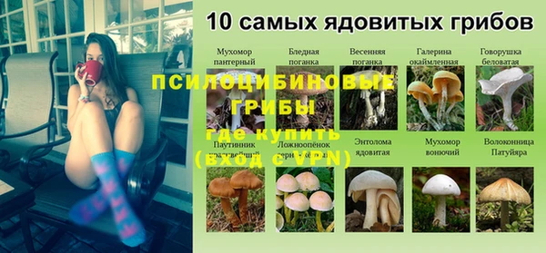 прущий лед Верея