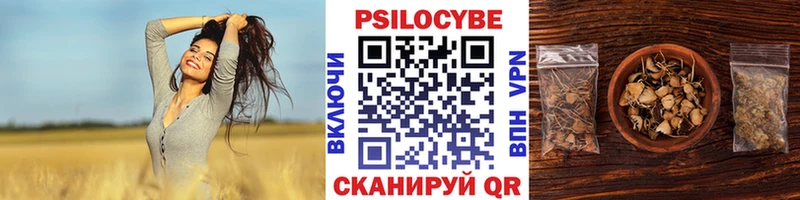 Купить закладки Светлый Псилоцибиновые грибы GOLDEN TEACHER